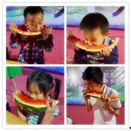 吃瓜综艺上的爆笑吃瓜,笑点连连