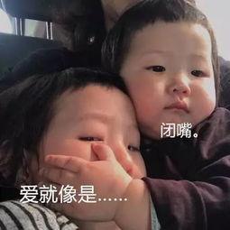 抖音吃瓜之歌,揭秘网络热点的狂欢与反思