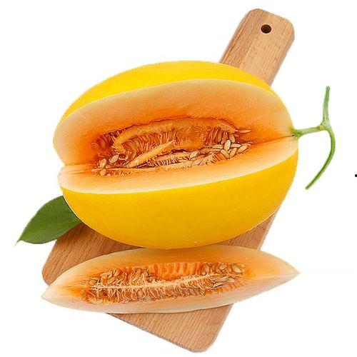 挑战吃蜜瓜视频,甜蜜挑战背后的趣味与挑战