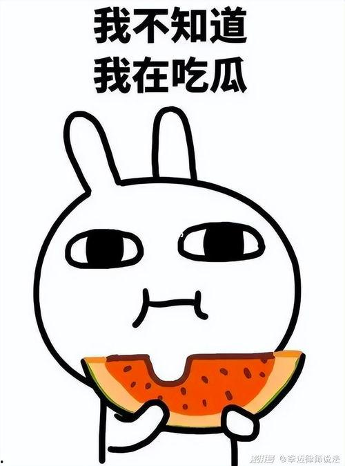 得意吃瓜旺柴,揭秘网络热词背后的文化现象