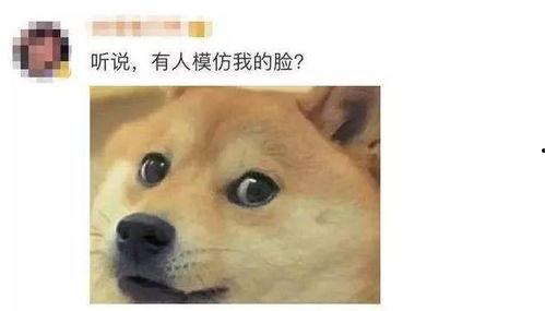 得意吃瓜旺柴,揭秘网络热词背后的文化现象