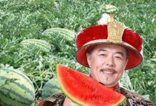 宫廷吃瓜小说,宫廷吃瓜者的逆袭之路