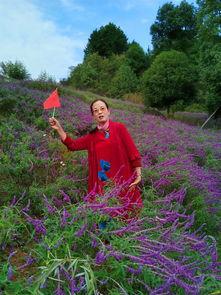 贵州山歌农村吃瓜,贵州山歌里的农村吃瓜时光