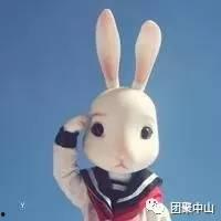 兔子吃瓜头像,趣味横生的形象演绎