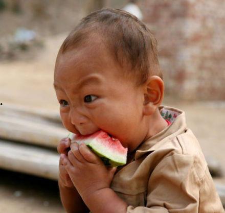 吃瓜小蠢货,网络红人的崛起与争议