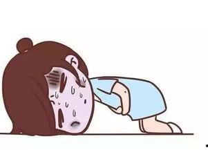 吃瓜小蠢货,网络红人的崛起与争议