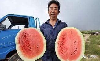 全国吃瓜最强战队,揭秘瓜界风云录