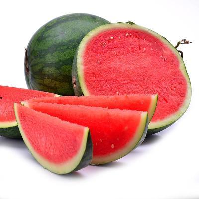 吃瓜只吃无籽,尽享甜蜜零负担的味蕾之旅