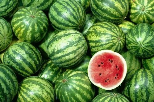 吃瓜只吃西瓜是啥意思,揭秘“吃瓜只吃西瓜”的流行现象