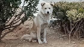 吃贝贝瓜的猫,揭秘吃贝贝瓜的猫的奇幻之旅