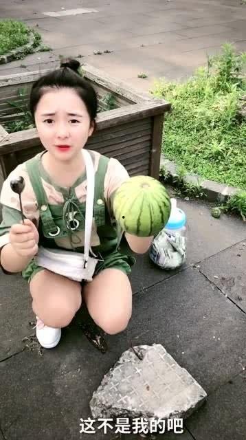 喵喵阁吃瓜,娱乐圈最新吃瓜大事件！