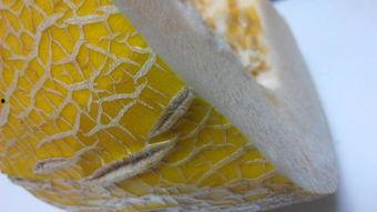 吃哈密瓜怎么削