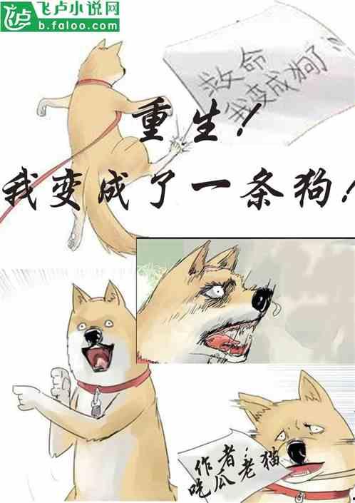 古代吃瓜合集小说,穿越时空的吃瓜传奇