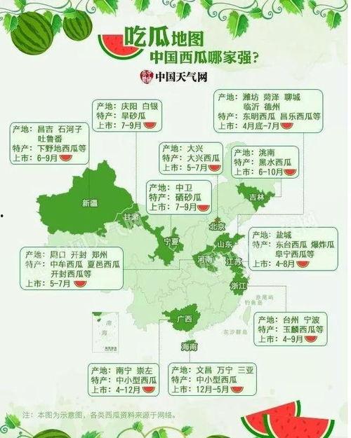 吃瓜地图上线,带你探索全国美食盛宴