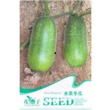 什么瓜是白籽瓜呢怎么吃,揭秘白籽瓜的食用方法与营养价值