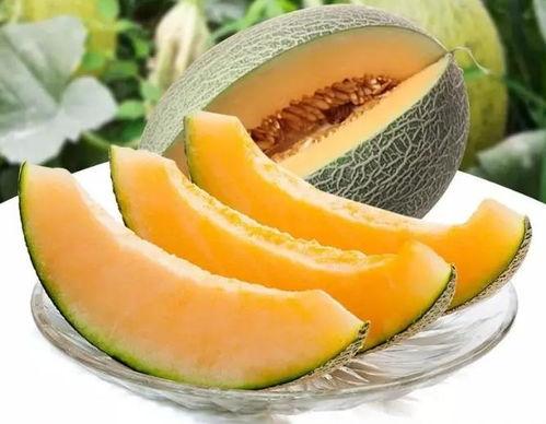 瓜州高速吃瓜,一场别开生面的“吃瓜”之旅