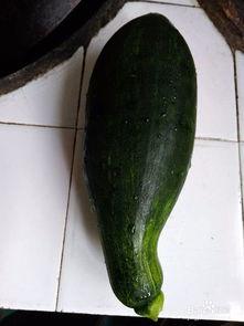 南瓜怎样吃吊瓜好吃,创意烹饪新体验