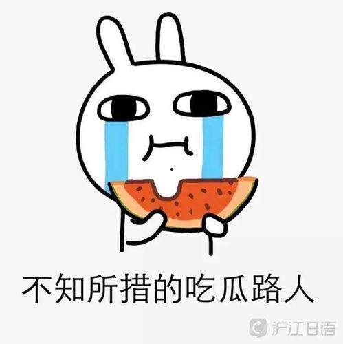 吃瓜吃到自己占卜,我的奇妙人生转折