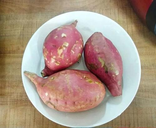 梦见吃瓜浆地瓜,瓜浆地瓜的奇幻之旅