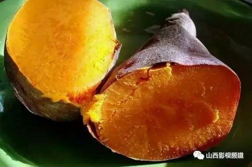 梦见吃瓜浆地瓜,瓜浆地瓜的奇幻之旅