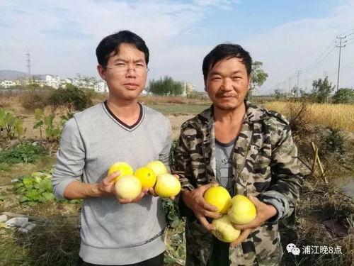 吃瓜我们在行动,揭秘娱乐圈风云变幻