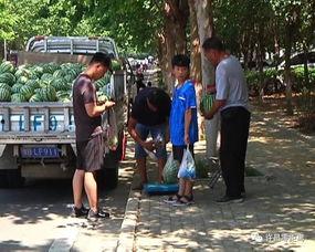 贵溪吃瓜群众,吃瓜群众热议风云事件