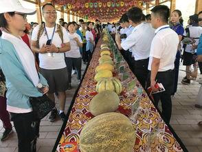 艺考新疆吃瓜,一场别开生面的“吃瓜”盛宴