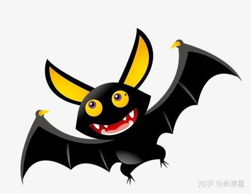 蝙蝠吃瓜神器,揭秘神奇食瓜利器