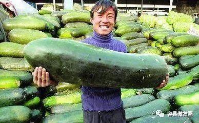 坐地吃瓜人,揭秘现代人的悠闲生活态度