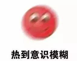 有瓜吃有话说,揭秘娱乐圈幕后故事