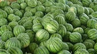 在外边吃瓜,吃瓜群众的热闹时光