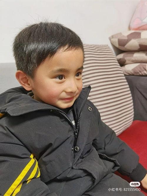 八卦吃瓜震惊,揭秘娱乐圈背后的惊人真相