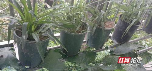 阳台吃瓜图,夏日悠闲时光