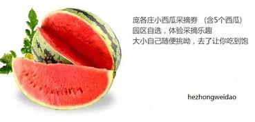 吃瓜群众的瓜是什么味,酸甜苦辣尽在其中