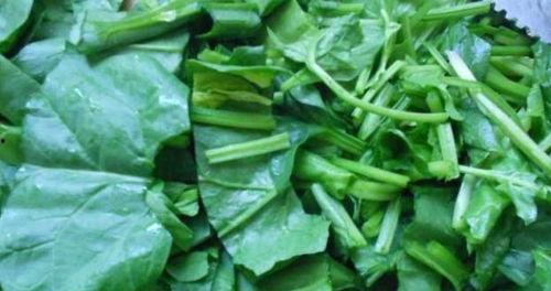 果实蝇吃瓜叶吗,果实蝇的瓜叶嗜食习性探究