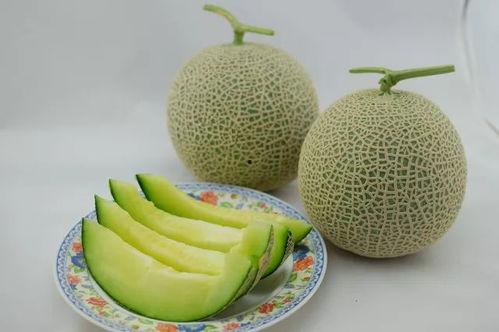 美国吃瓜吃到自己家,本土瓜农自食其果的尴尬境地